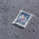 Image for article titled There's Poop on the Moon